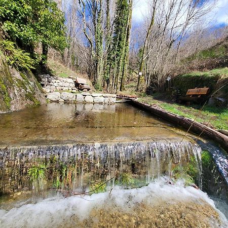 La Bouletiere Bed & Breakfast Dourbies Екстериор снимка