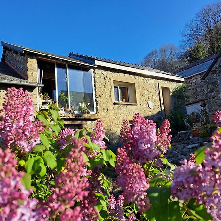La Bouletiere Bed & Breakfast Dourbies Екстериор снимка