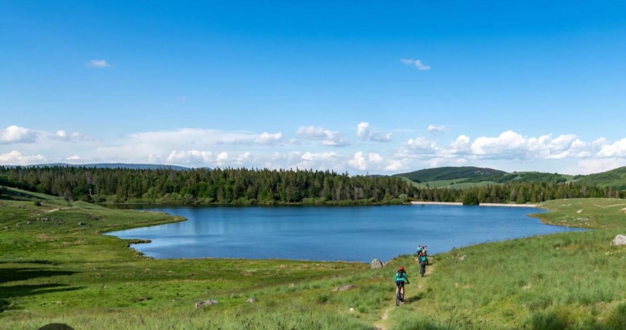 La Bouletiere Bed & Breakfast Dourbies Екстериор снимка