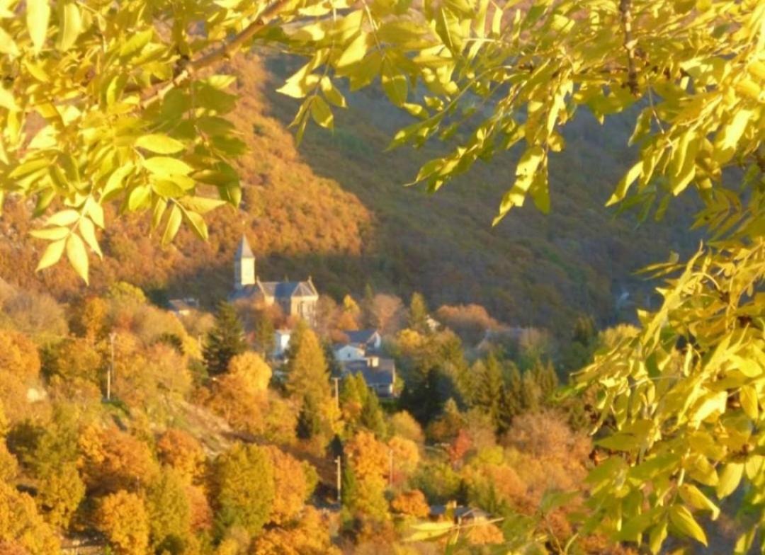 La Bouletiere Bed & Breakfast Dourbies Екстериор снимка