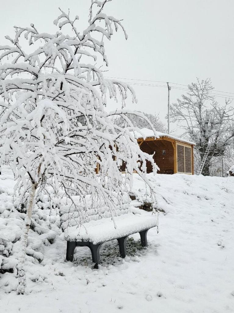 La Bouletiere Bed & Breakfast Dourbies Екстериор снимка