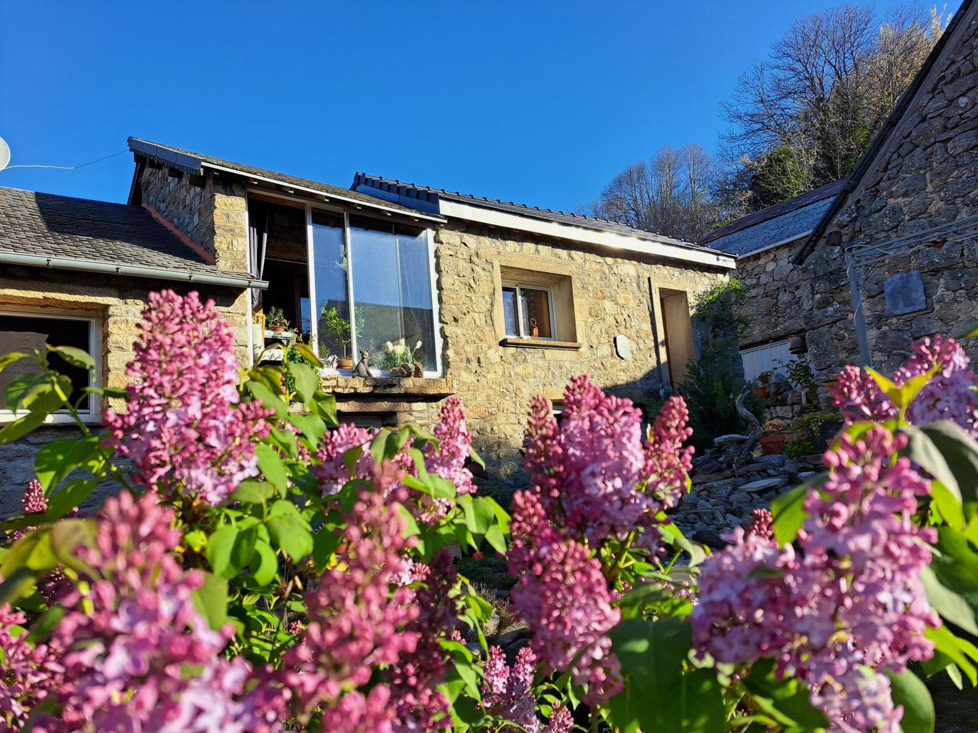 La Bouletiere Bed & Breakfast Dourbies Екстериор снимка