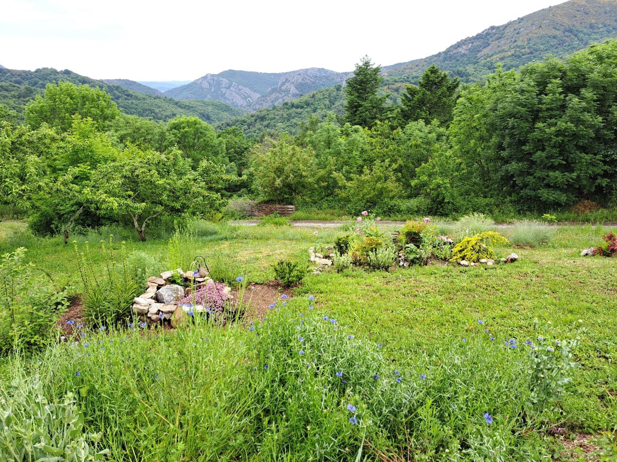 La Bouletiere Bed & Breakfast Dourbies Екстериор снимка